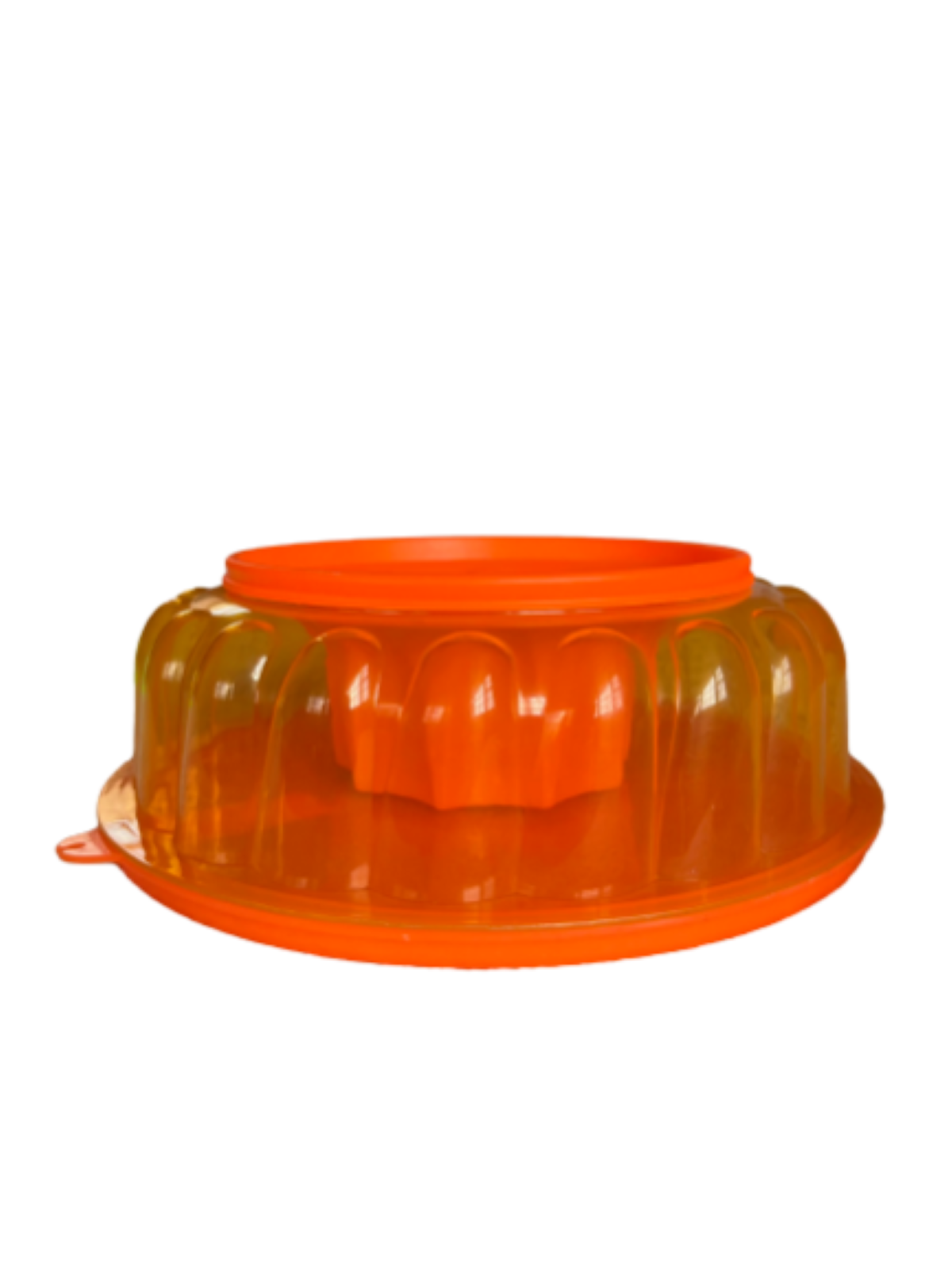 Molde de plástico para gelatina, mousse, paté (chico)